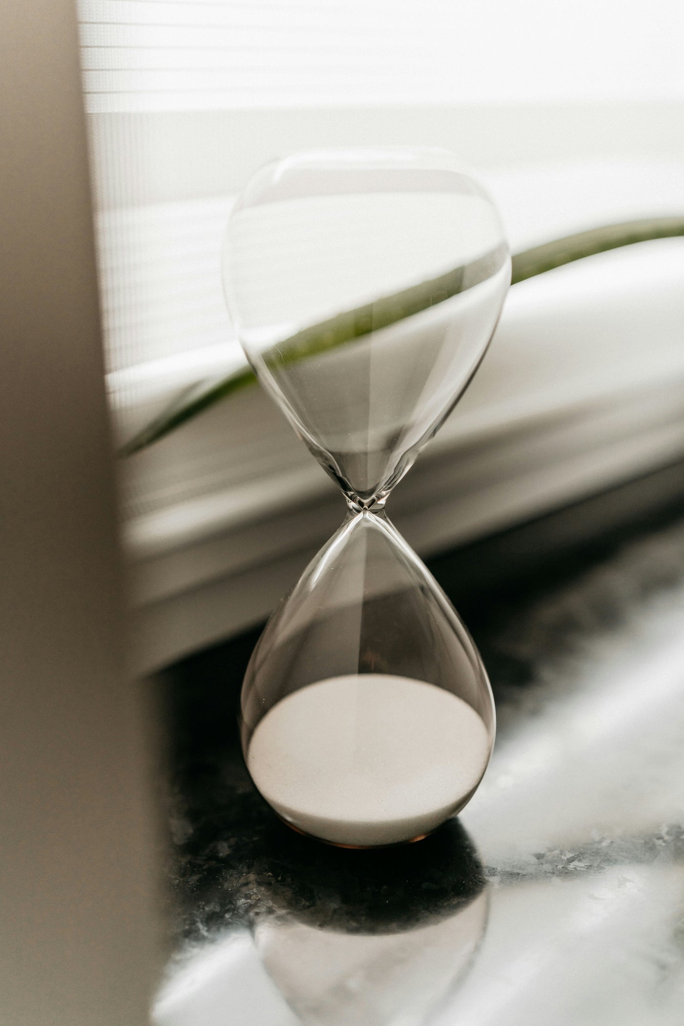 The Hidden Logic of Twins and Siblings: Timing Is Everything